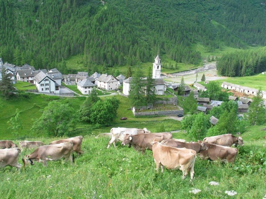 Casa di vacanza Giovanibosco Esterno foto